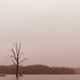 Summit Lake State Park. Sadly the tree is no longer standing. This was my first winter of photography, 15 (sigh) years ago.